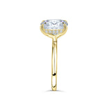 Oval Hidden Halo Engagement Ring