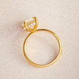 Oval Hidden Halo Engagement Ring
