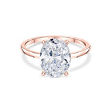 Oval Hidden Halo Engagement Ring
