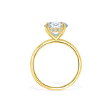 Oval Hidden Halo Engagement Ring
